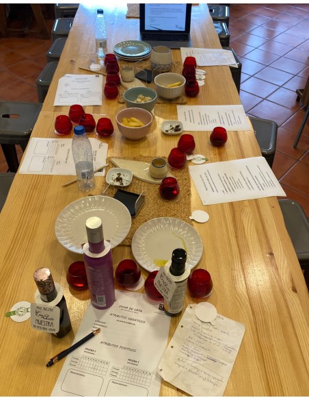 Taller de iniciación a la CATA DE ACEITE - La Casa del Aceite