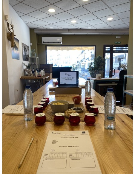 Taller de iniciación a la CATA DE ACEITE - La Casa del Aceite