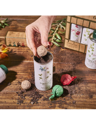 Estuche aceites de oliva virgen extra Garden Olive Nobleza del Sur