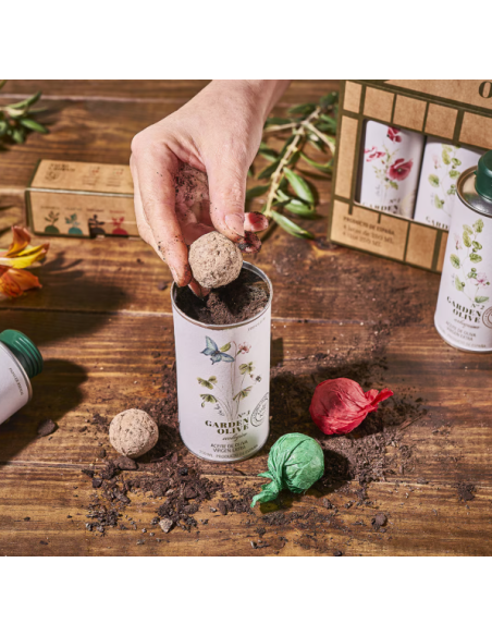 Estuche aceites de oliva virgen extra Garden Olive Nobleza del Sur