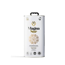 MAGNASUR METAL 5L.