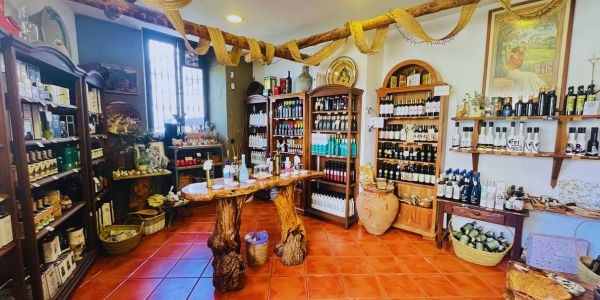 Las variedades de aceite de oliva que puedes descubrir en La Casa del Aceite