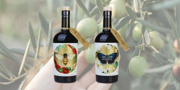 Aceite de Oliva Virgen Extra Ecológico – Recolección de Día y Noche ¿Qué diferencias hay?
