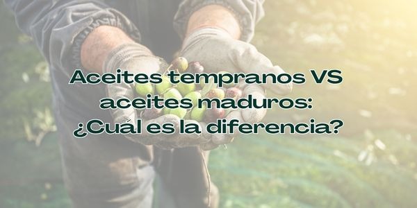 Aceites tempranos vs aceites maduros: ¿cuál es la diferencia?