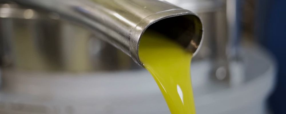 ¿Team aceite filtrado o team aceite en rama? Descubre las diferencias y elige tu favorito